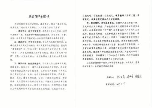 审计处廉洁自律承诺书